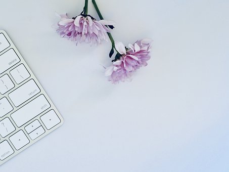2019年在線企業的5個重要SEO技巧-瑩晨建站-m.bbtklxp.cn 2019年在線企業的5個重要SEO技巧-瑩晨建站-m.bbtklxp.cn